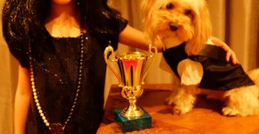 The Case of the Prize Winning Canine